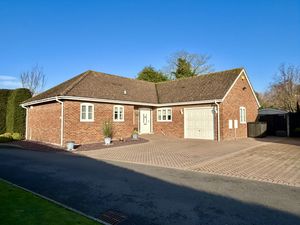 Front- click for photo gallery